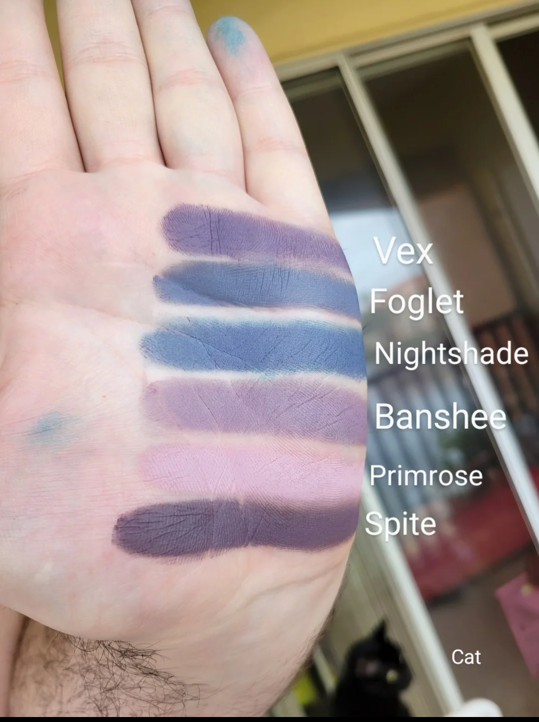 Thumbnail 12